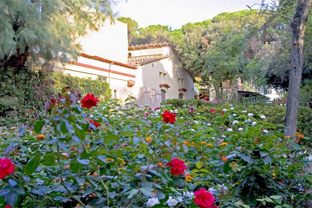 Villaggio Club Cecina مارينا دي سيسينا المظهر الخارجي الصورة