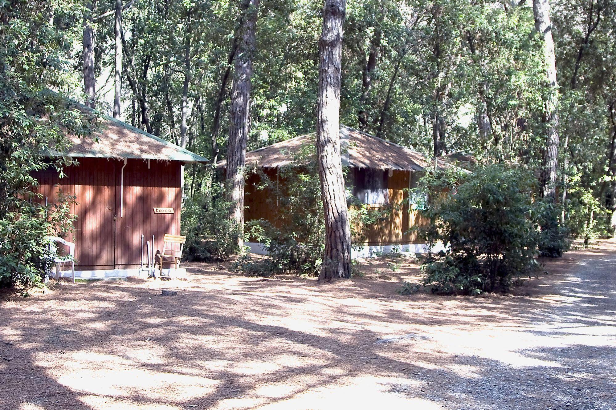 Villaggio Club Cecina مارينا دي سيسينا المظهر الخارجي الصورة